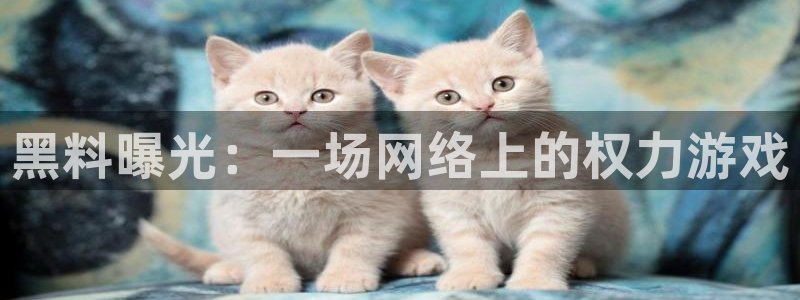 吃瓜小说:黑料曝光:一场网络上的权力游戏