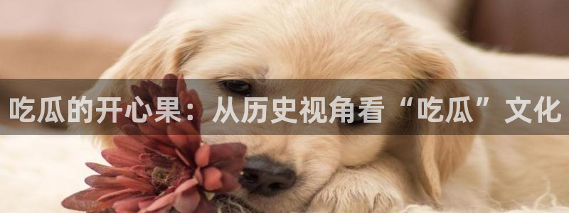吃瓜小说:吃瓜的开心果:从历史视角看“吃瓜”文化