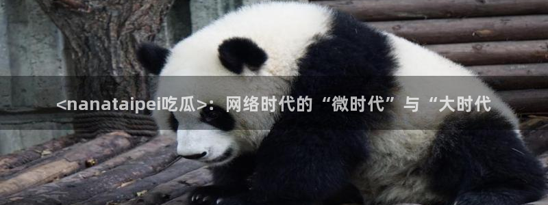 51吃瓜今日吃瓜最新网址:<nanataipei吃瓜>:网络时代的“微时代”与“大时代