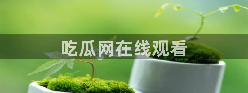 1吃瓜:吃瓜网在线观看