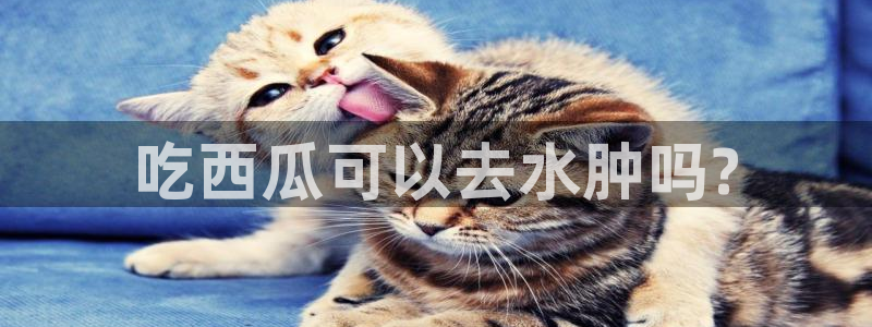 豆瓣自由吃瓜基地:吃西瓜可以去水肿吗?
