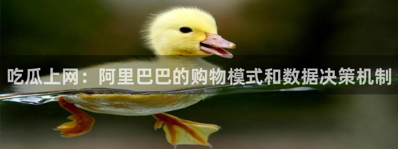 51cg热门大瓜今日吃瓜:吃瓜上网:阿里巴巴的购物模式和数据决策机制