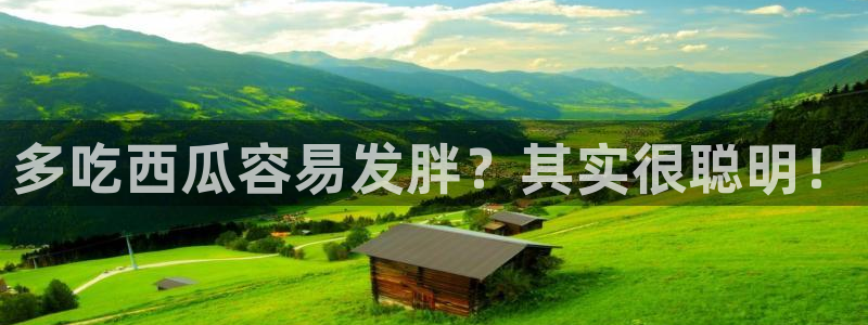 吃瓜是什么意思?:多吃西瓜容易发胖?其实很聪明!