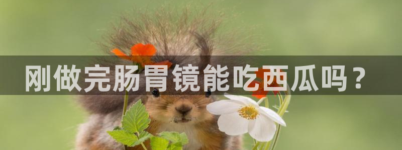 51吃瓜网更新最快最全的:刚做完肠胃镜能吃西瓜吗?