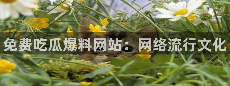 51吃瓜今日吃瓜入口最新:免费吃瓜爆料网站:网络流行文化
