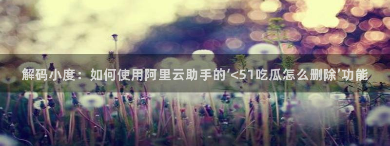 51吃瓜今日吃瓜入口最新:解码小度:如何使用阿里云助手的‘<51吃瓜怎么删除’功能