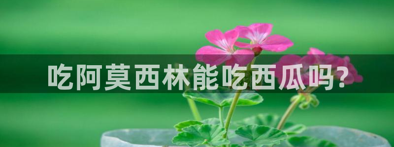 黑料黑料:吃阿莫西林能吃西瓜吗?