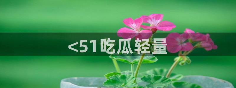 www.黑料.com:<51吃瓜轻量