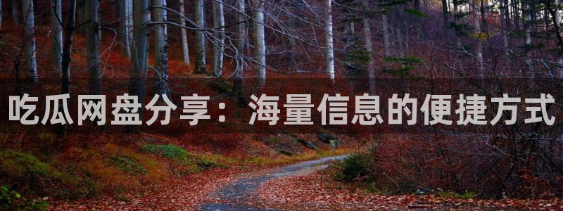 51cgfun吃瓜网怎么进:吃瓜网盘分享:海量信息的便捷方式