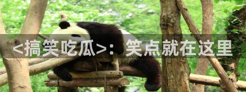 吃瓜爆料网不打烊回家:<搞笑吃瓜>:笑点就在这里
