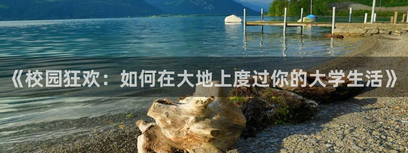 51cg热门大瓜今日吃瓜:《校园狂欢:如何在大地上度过你的大学生活》